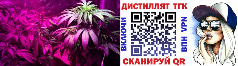 даркнет сайт Харабали Дистиллят ТГК концентрат